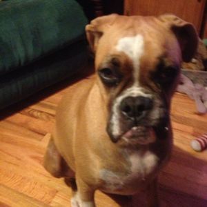 Meet your Posher, Amanda